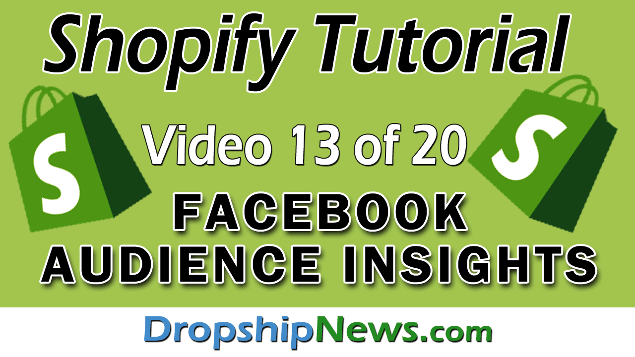 Shopify Tutorial For Beginners - Facebook Insights