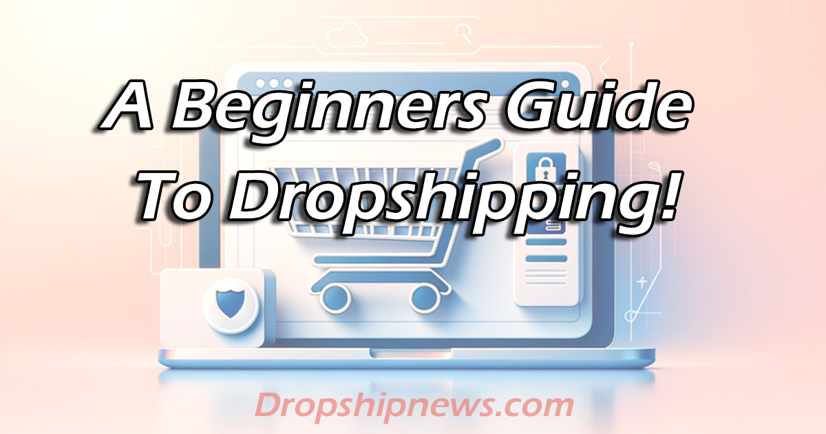 beginners guide dropshipping business