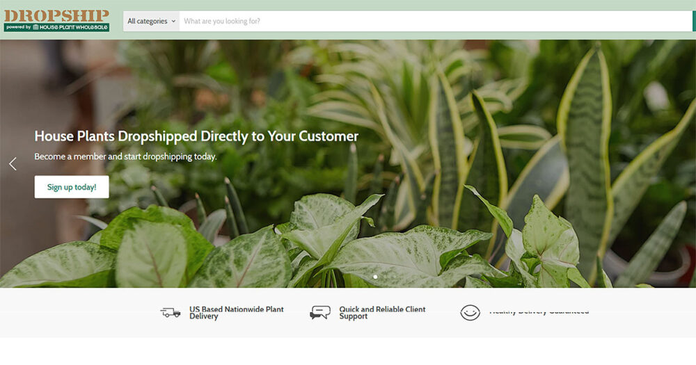 Screengrab of Dropship Plants Homepage