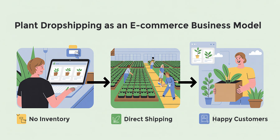 Plant Dropshipping Business Model Plant dropshipping business model workflow showing retailer, supplier, and customer relationship with direct shipping process