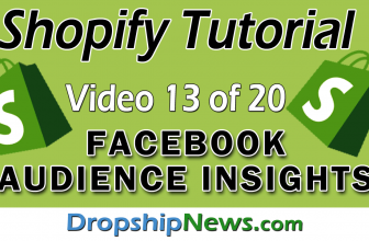 Shopify Tutorial For Beginners – Facebook Audience Insights